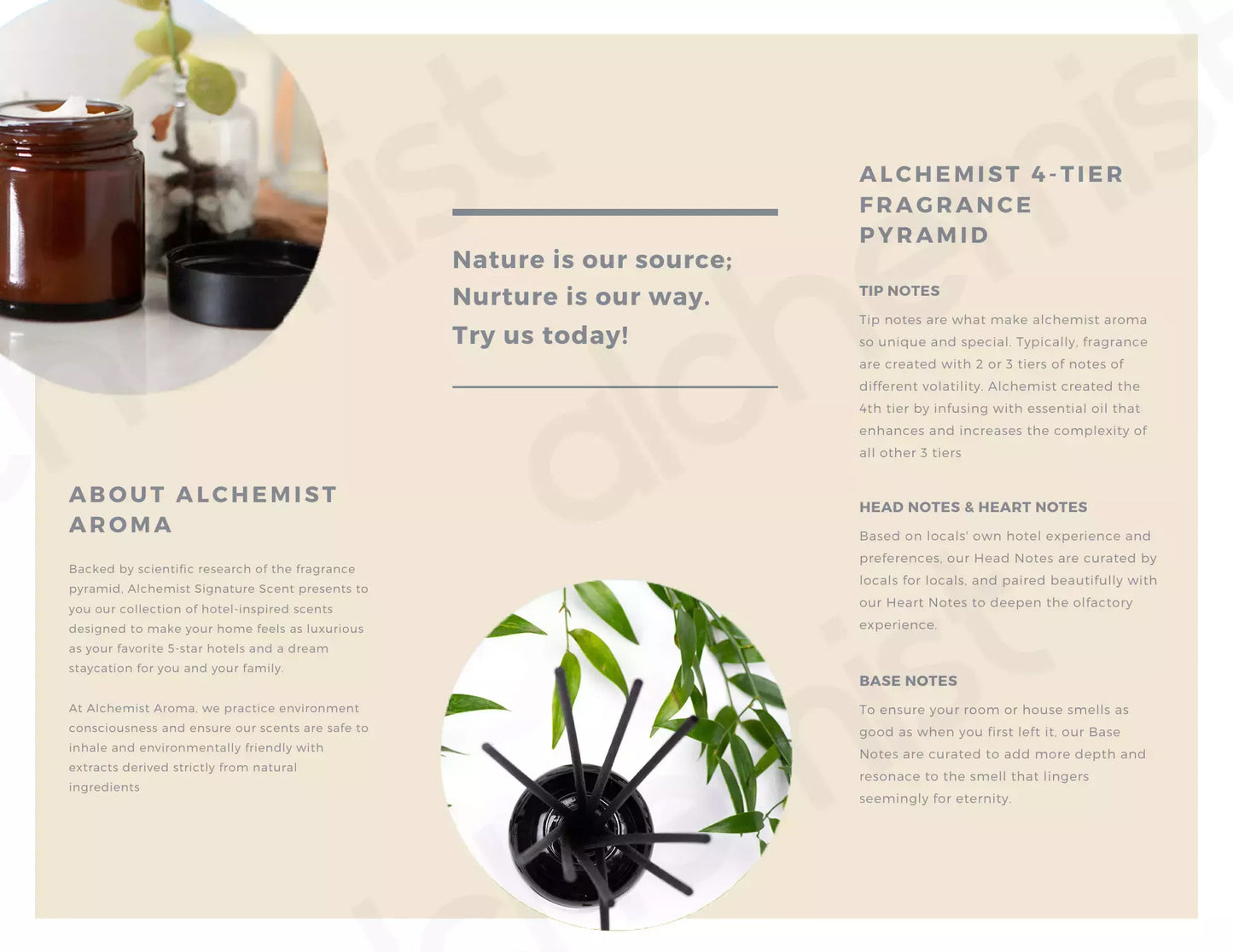 Alchemist Aroma Ritz Carlton Inspired Signature Scent【7】Reed Diffuser - LYCHEE + COPAL WOOD
