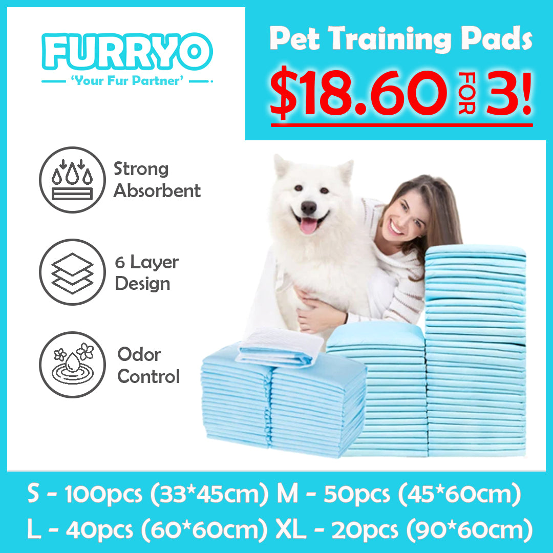 FurryO Absorbent Pee Pad | Dog Pee Pad | Cat Pee Pet | Rabbit Pee Pad | Training Pads